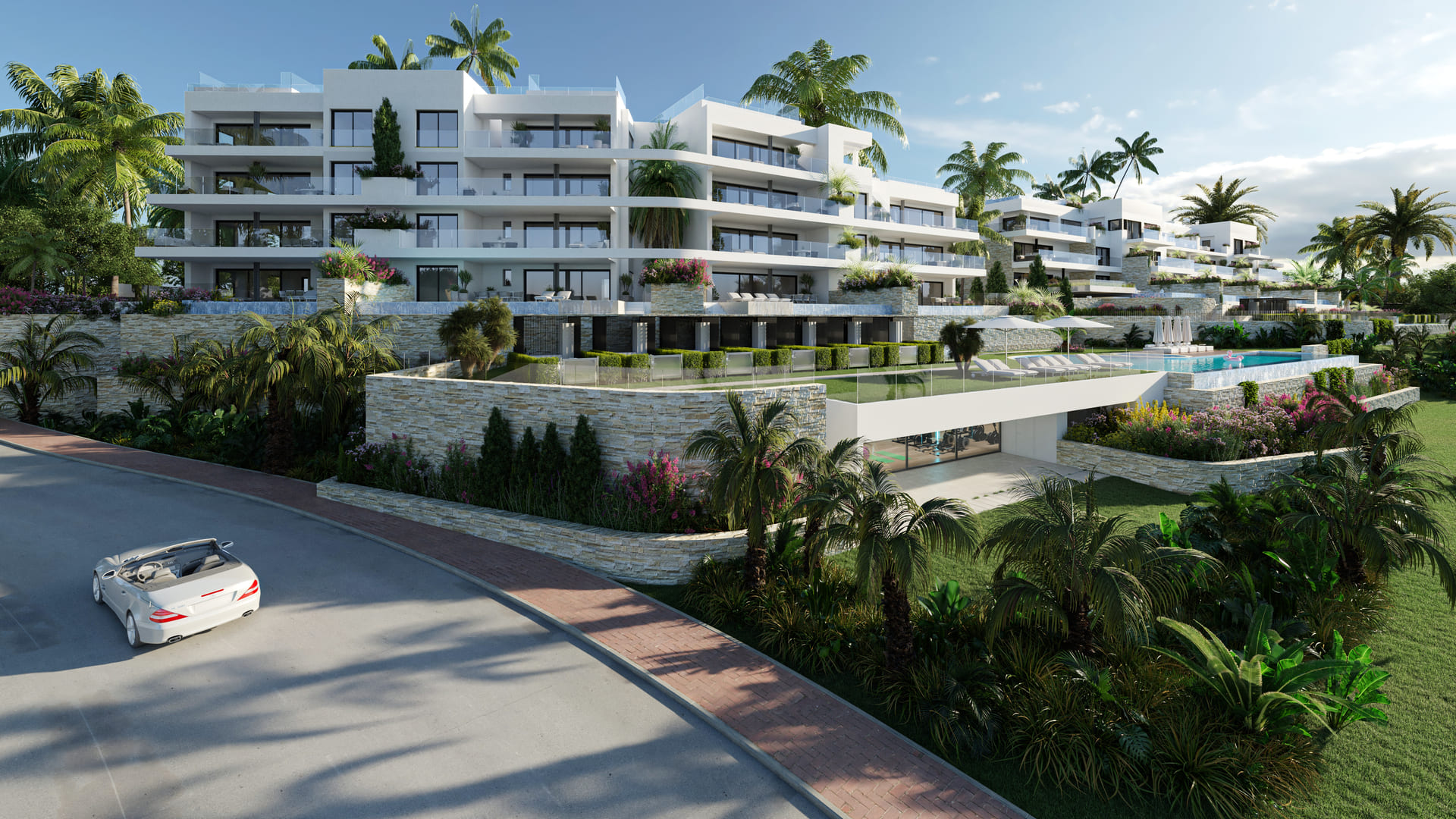 Limonero 9 view 2